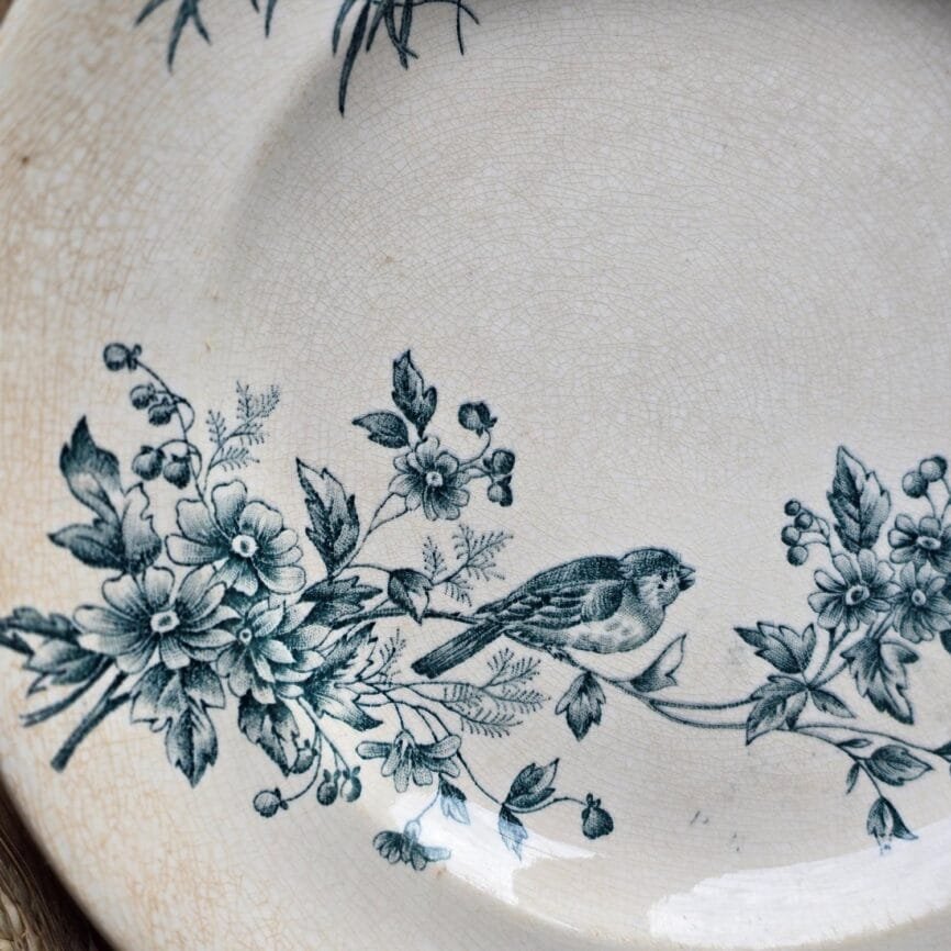 Zoom sur les motifs fleuris bleus et l'oiseau central de l'assiette ancienne MIGNON.