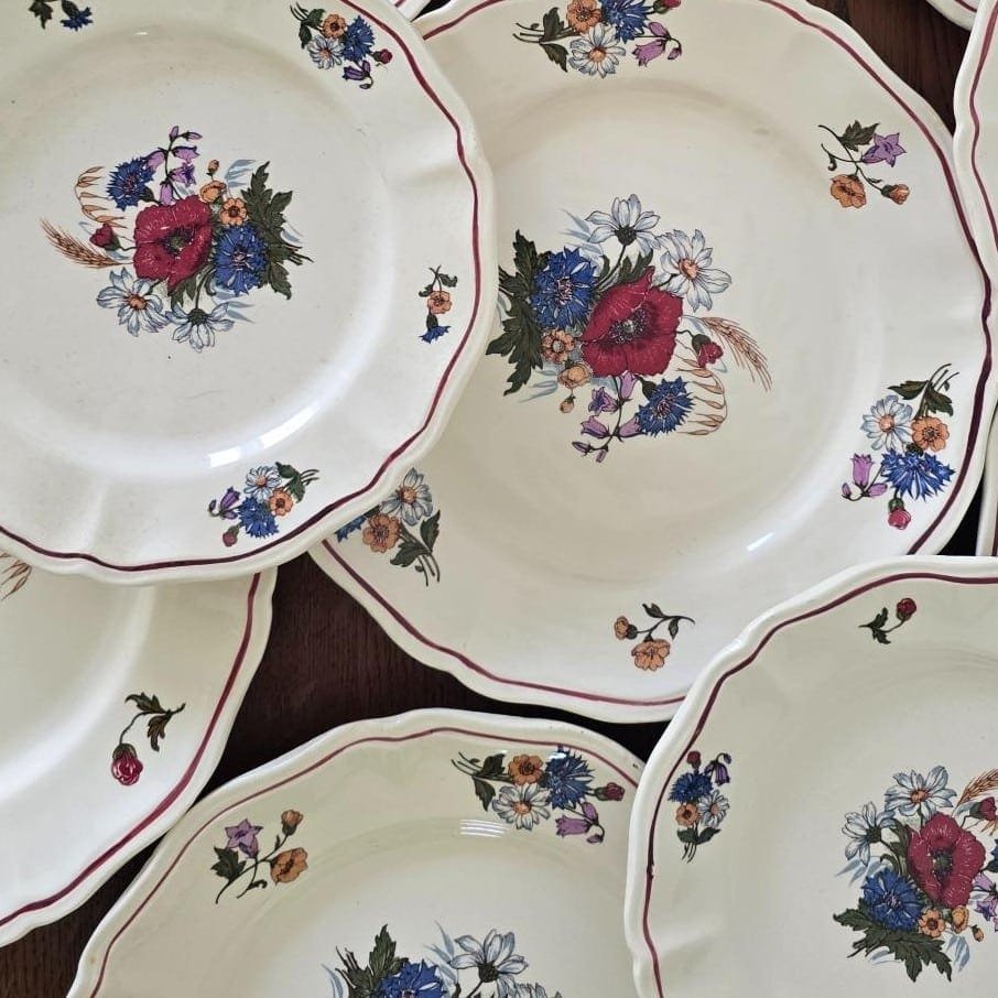 assiettes-sarreguemines-agreste-