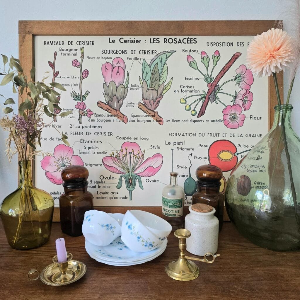 brocante-vintage-essentiel-affiche-scolaire-dame-jeanne-arcopal-