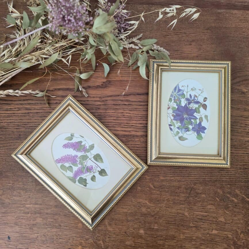 Lot de deux petits cadres dorés sous verre avec illustrations florales V. Mappin vue stylisée