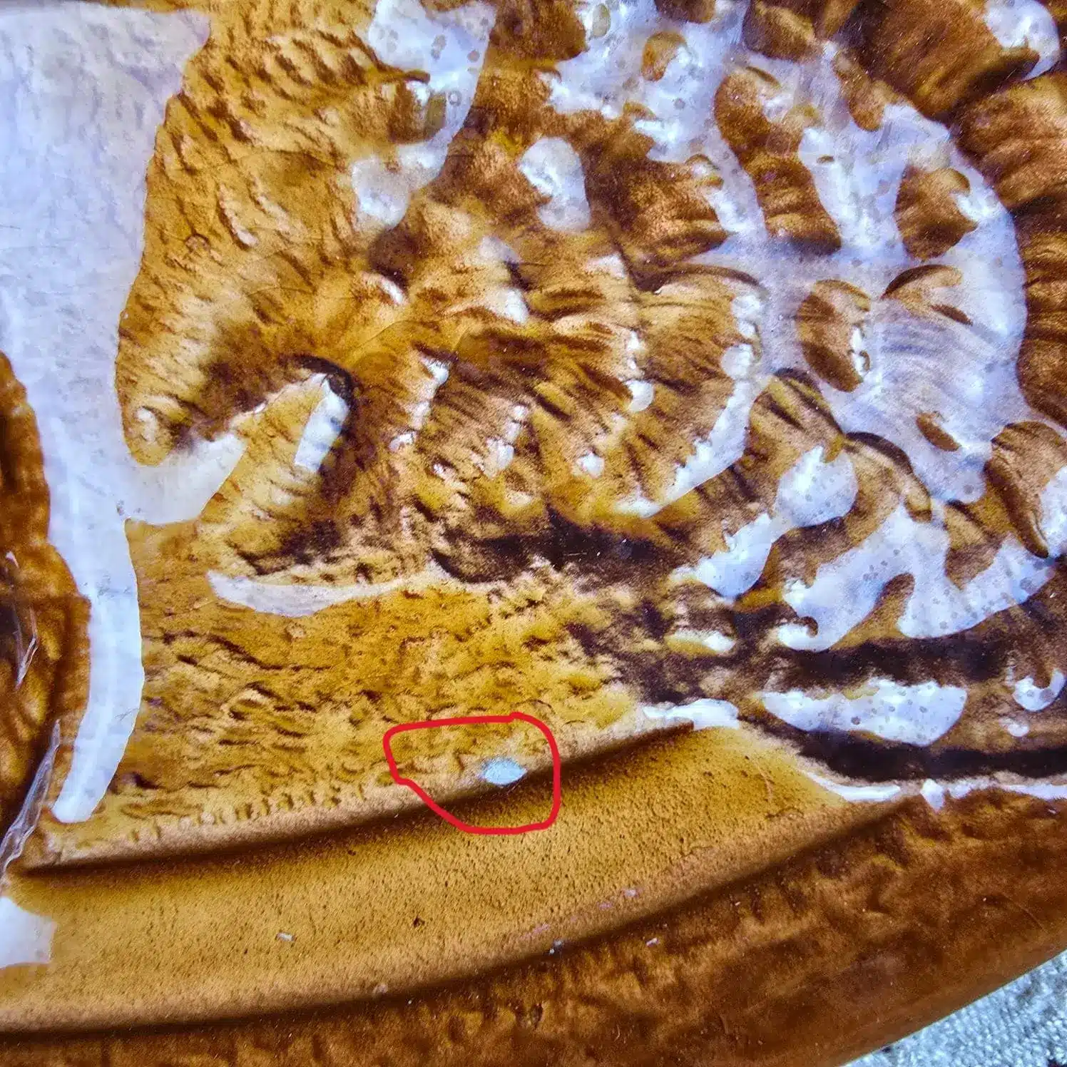 Détail d’un éclat sur une assiette à huîtres Sarreguemines