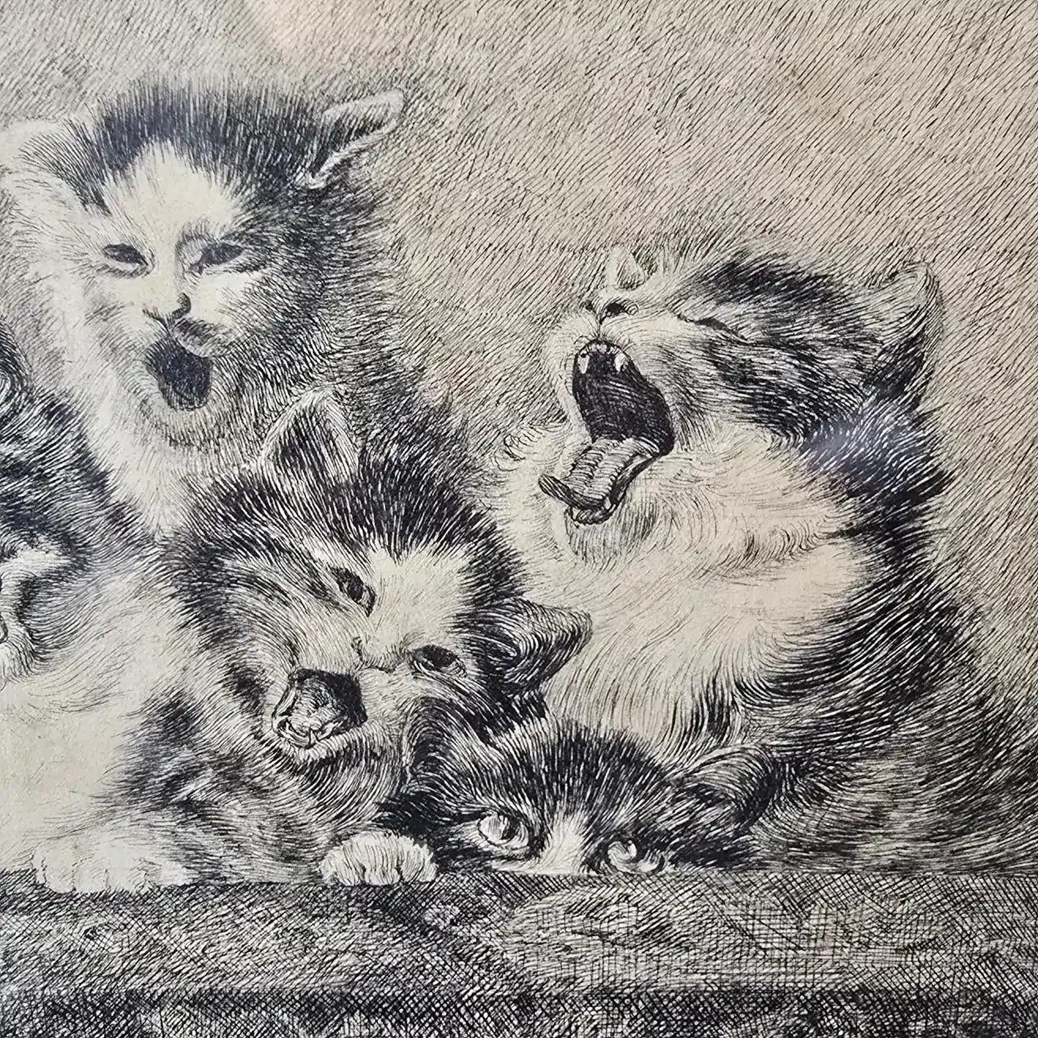 Détail de la scène : chatons bâillant et miaulant comme en plein concert.