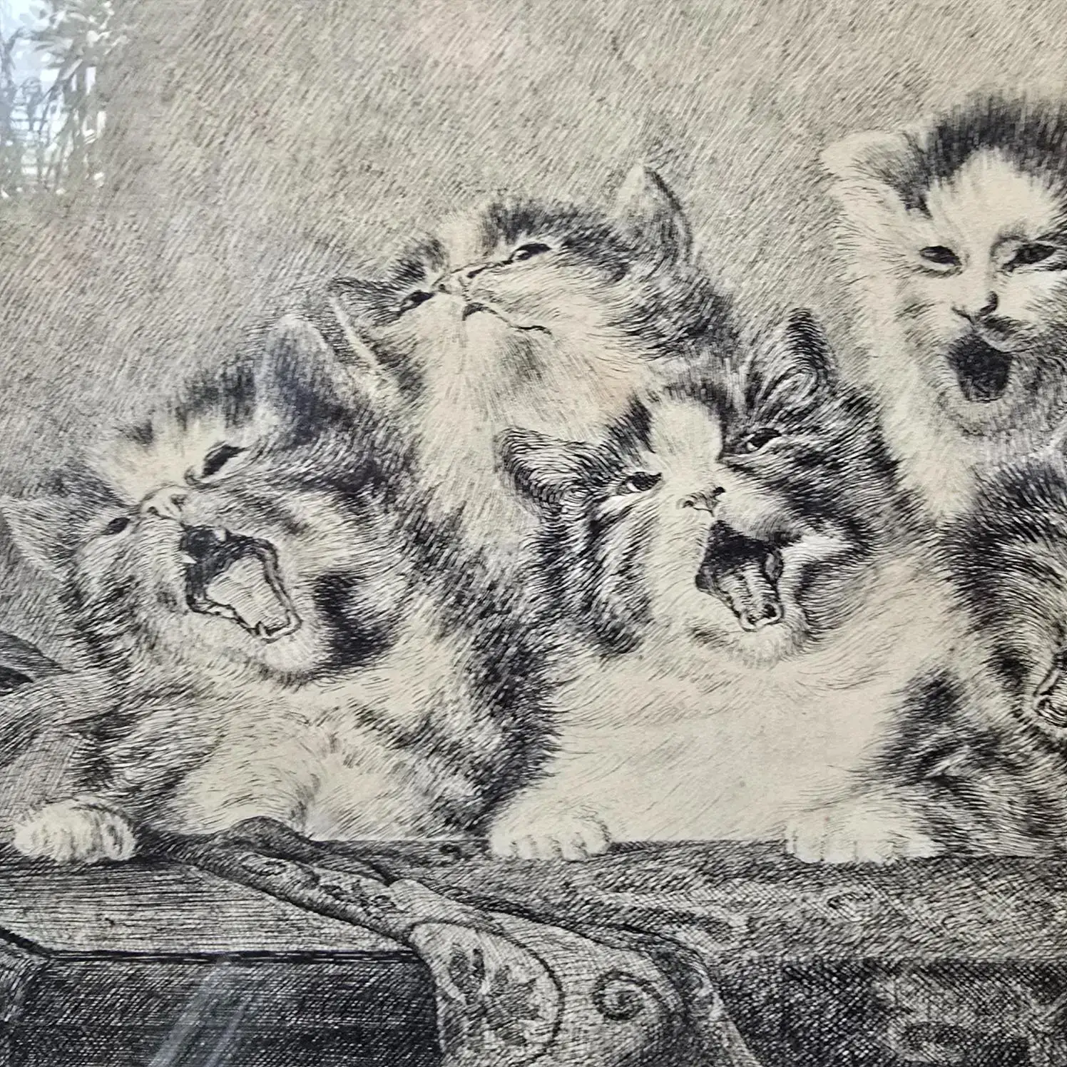 Autre détail de la scène : chatons bâillant et miaulant comme en plein concert.