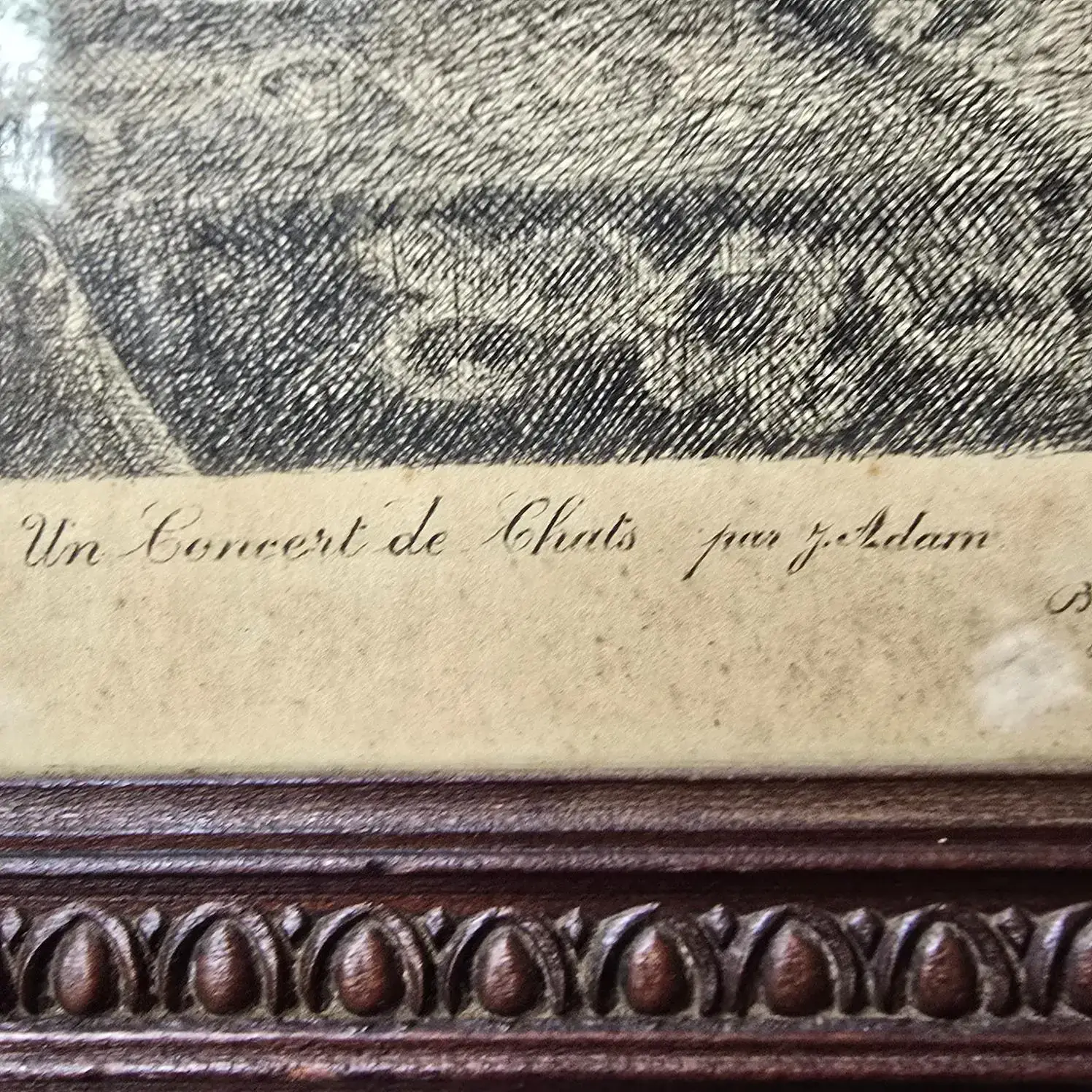Signature imprimée « Un Concert de Chats par J. Adam ».