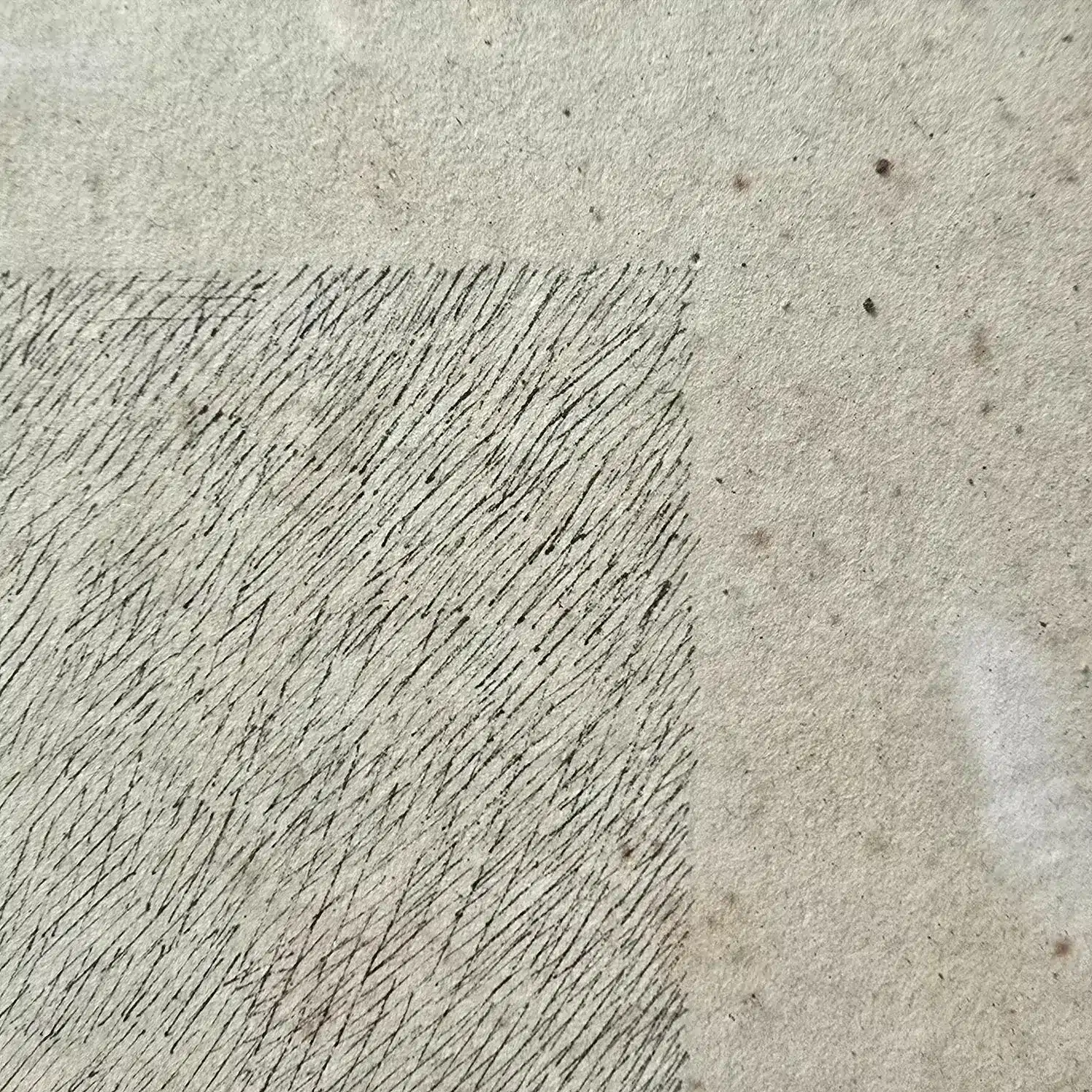Vue rapprochée de la texture de la gravure et des rousseurs, témoin du temps.