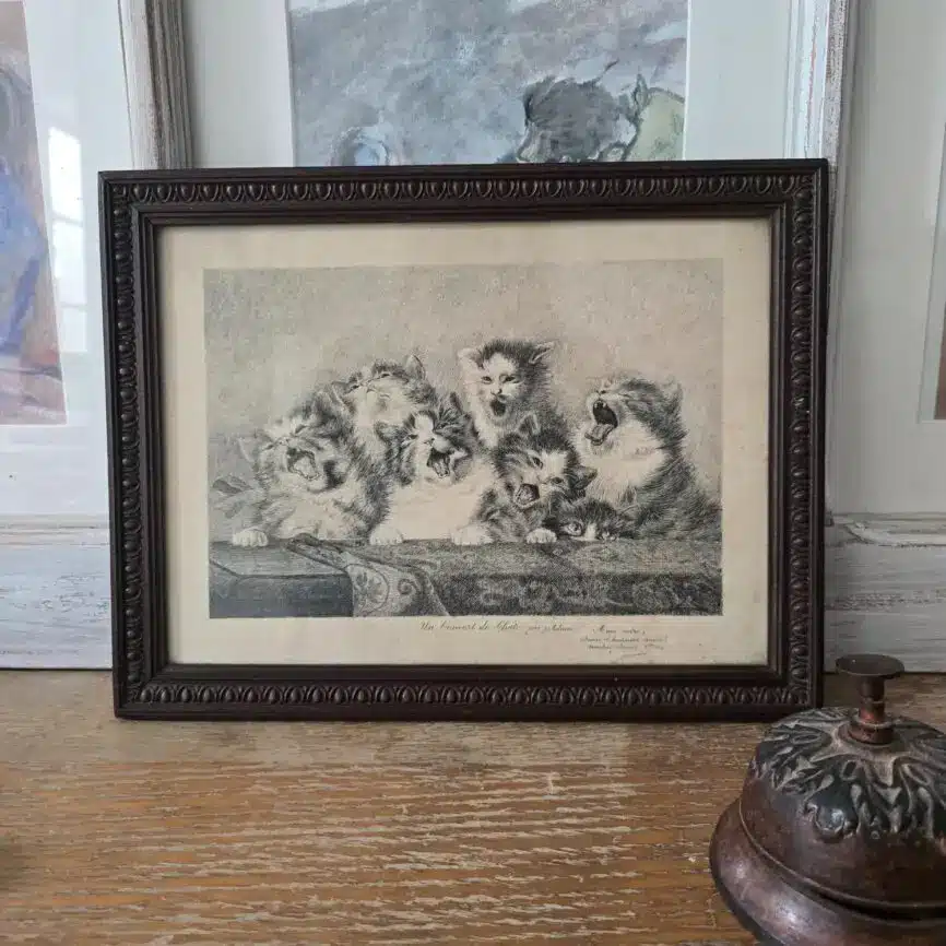 Gravure ancienne « Un concert de chats » encadrée, vue d’ensemble.