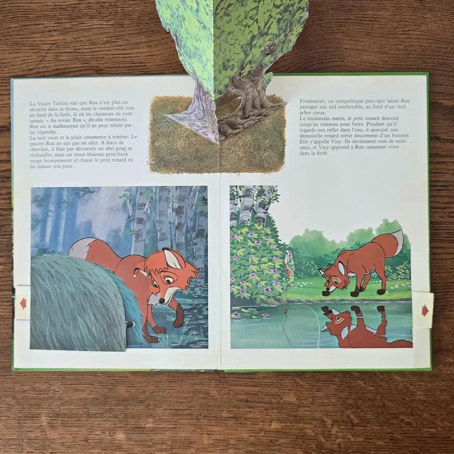 Double page avec illustrations animées du livre vintage Rox et Rouky.