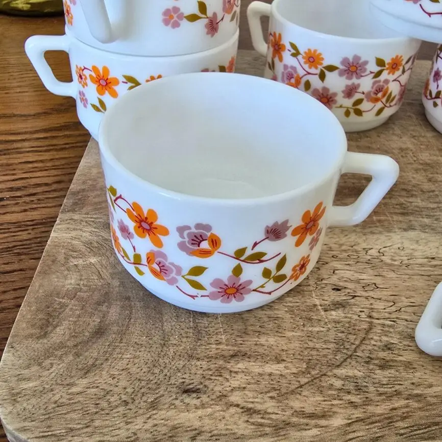 Gros plan tasse Arcopal Scania vintage très bon état années 70.