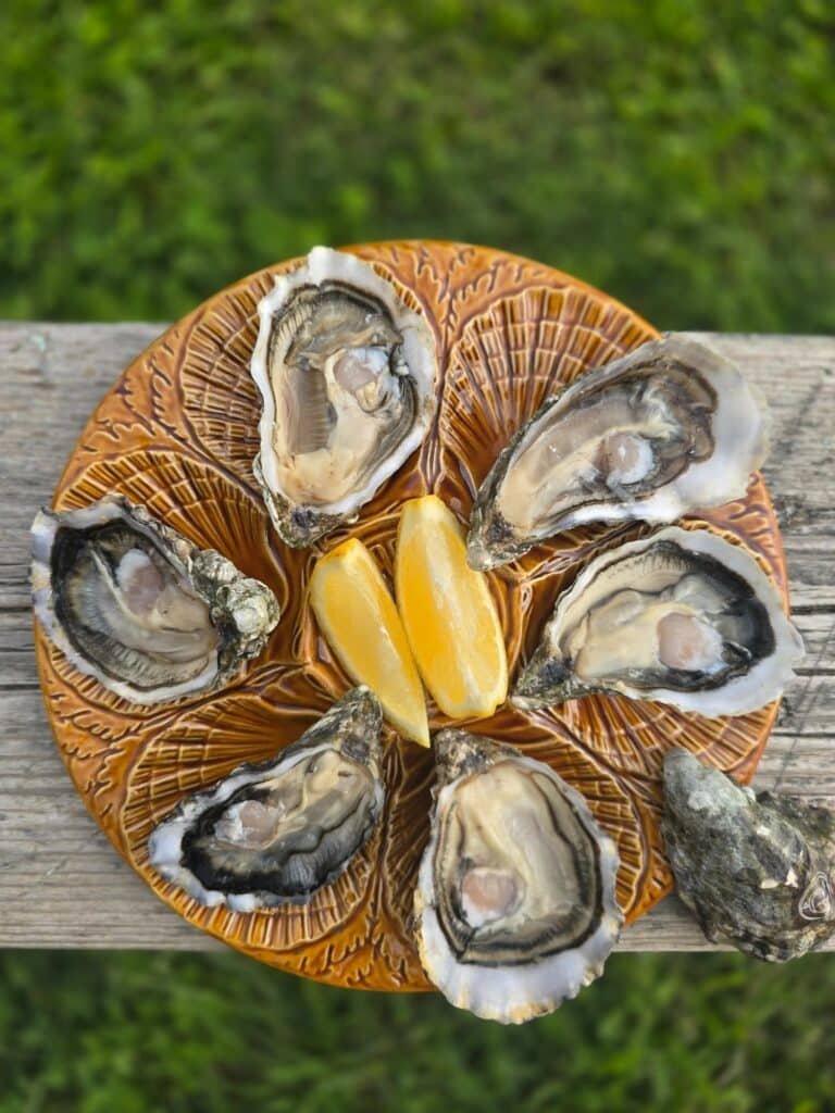 assiette-degustation-huitres-vintage