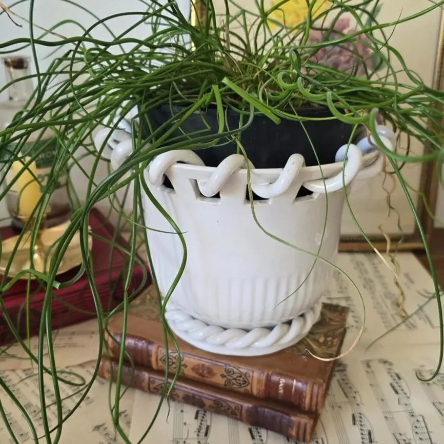 Cache-pot blanc torsadé signé Émile Teissier Malicorne, décoré d’une plante verte, posé sur livres anciens et partitions vintage
