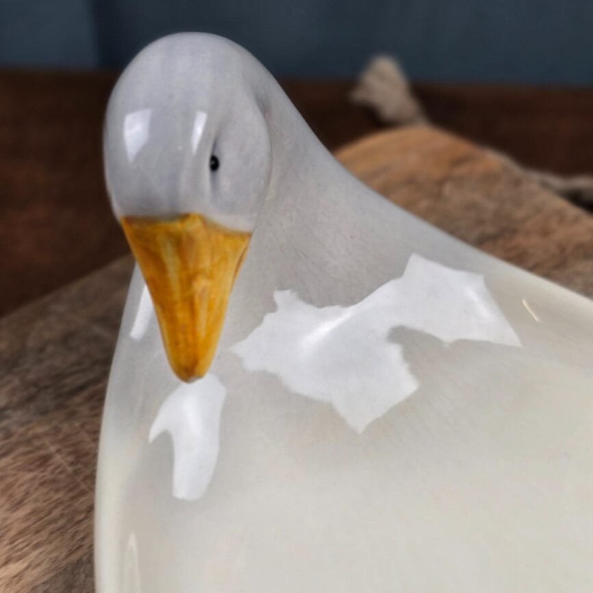 Détail du bec peint et reflets du vernis.