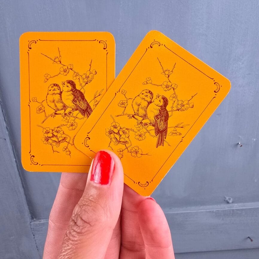 Jeu de cartes Patience ACE West Germany, tenue en main, vue de dos sur les jolies illustrations d'oiseaux