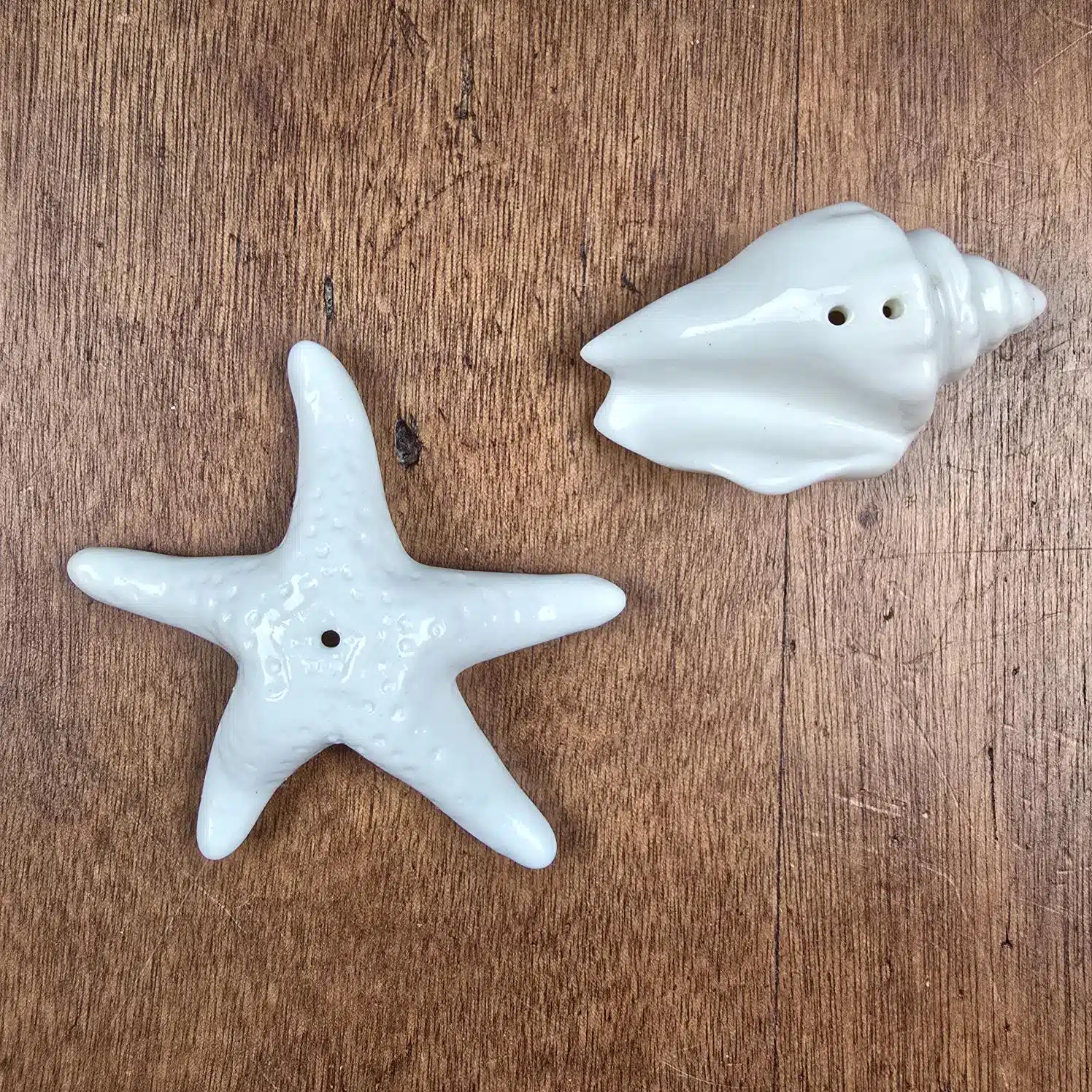 Set salière poivrière coquillage et étoile de mer en céramique blanche, vue de dessus sur table en bois