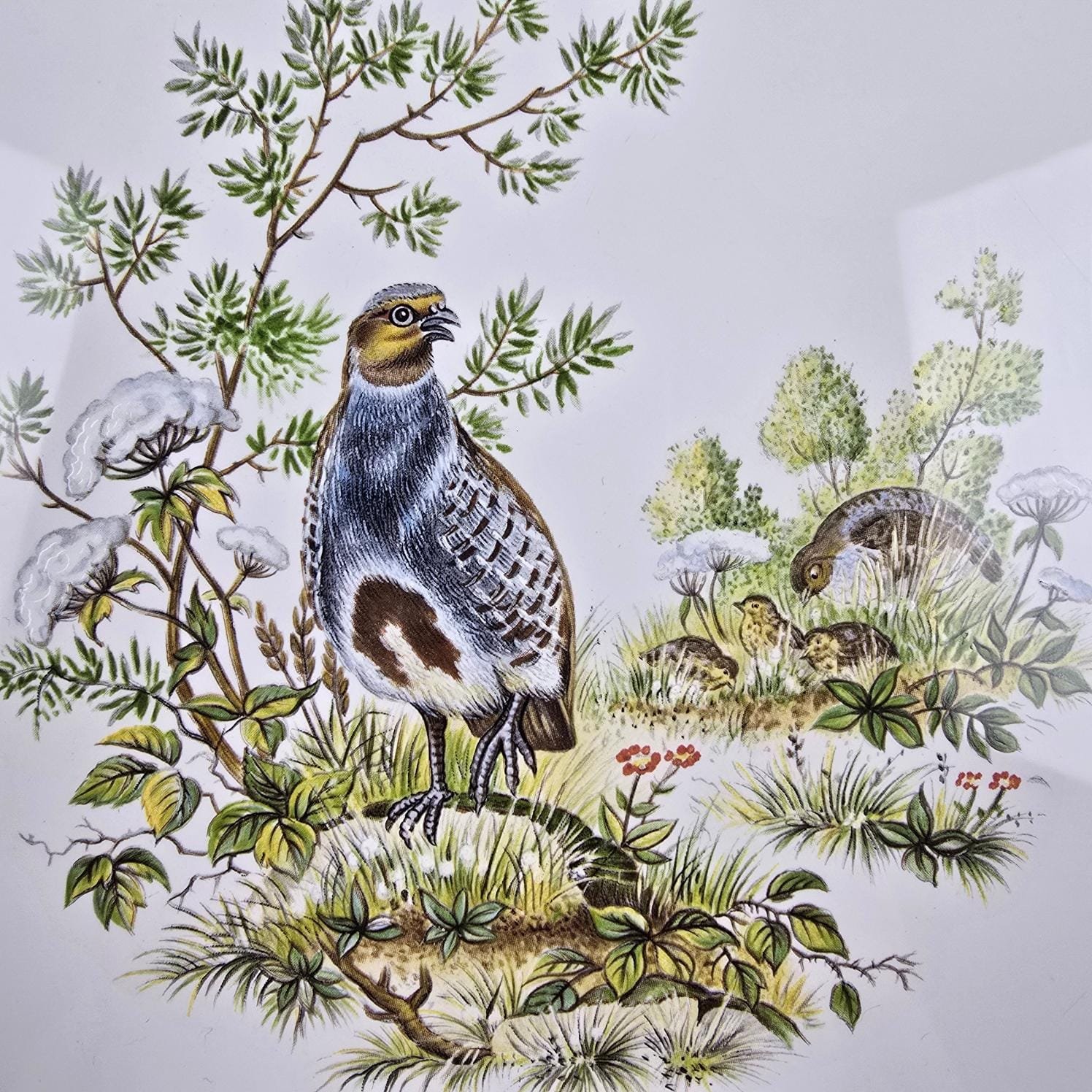 Dessous de plat vintage Villeroy & Boch – Zoom sur le décor des perdrix et ses petits
