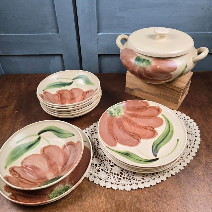 Service vintage Salins Rhône, grandes fleurs peintes à la main, assiettes plates, creuses et soupière