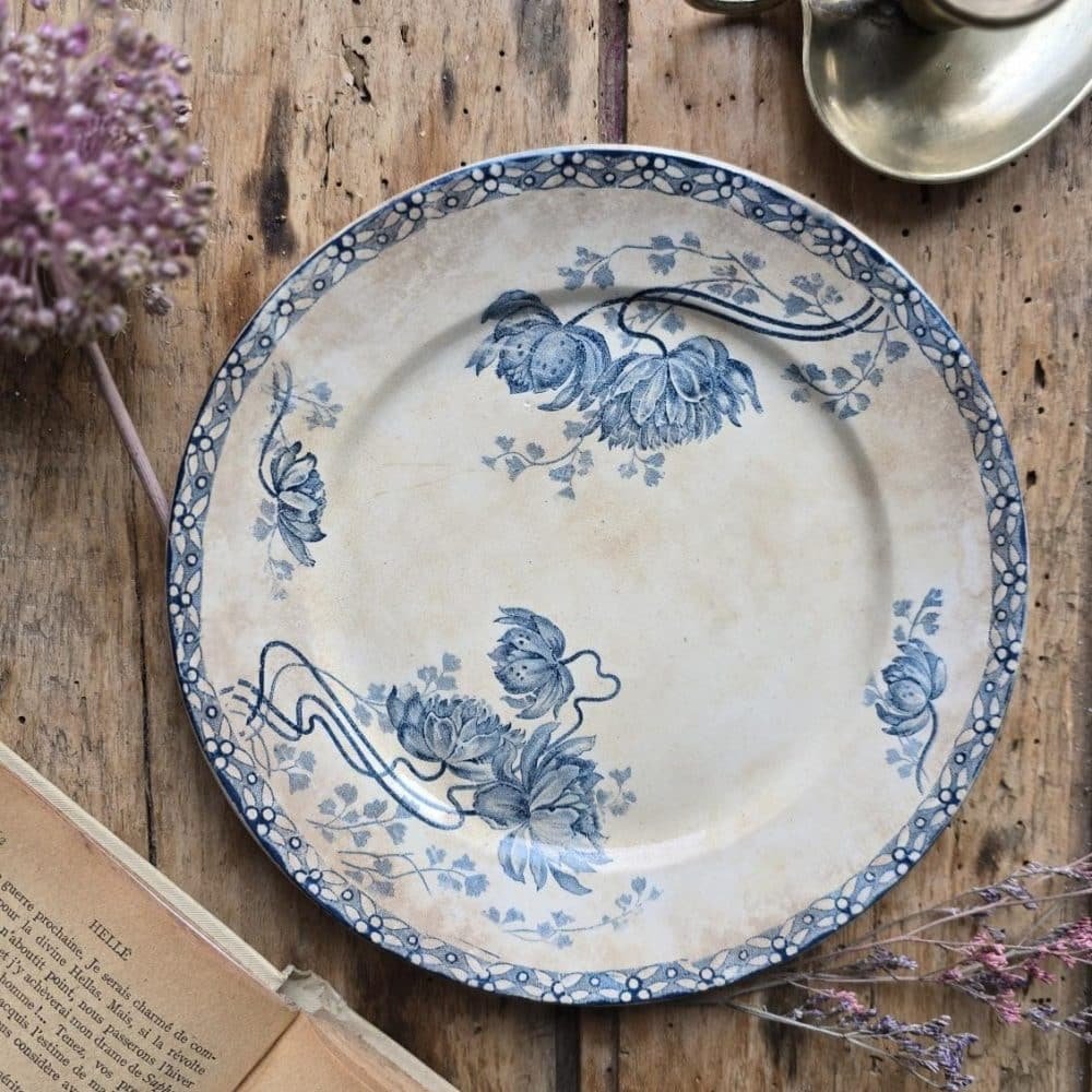 Vue de dessus d’une assiette U&C Sarreguemines modèle ROYAT – faïence à motif