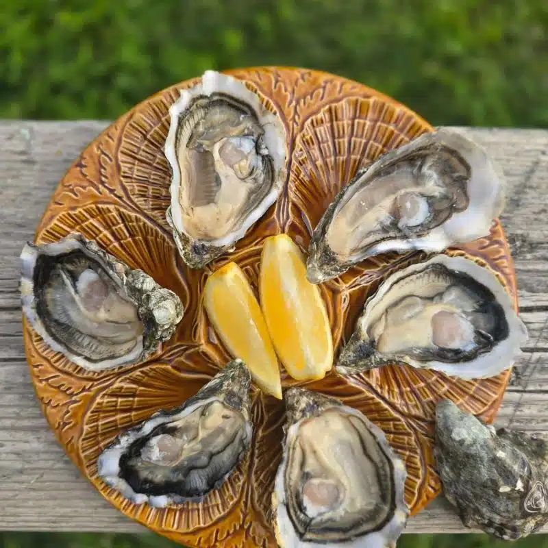 Assiettes à huîtres vintage en faïence sur table de fête – Pagaille Brocante